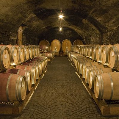 wein.kaltern_partner_Kettmeir